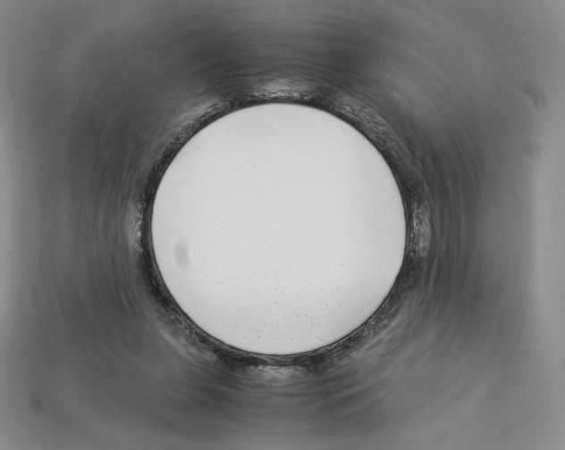 X0000112900255200910021440