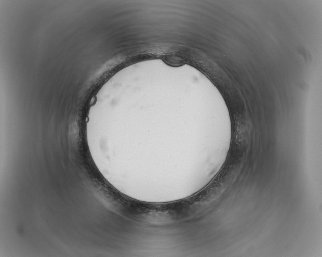 X0000112900256200910021440