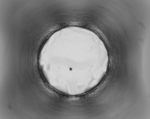 X0000112900257200910021440