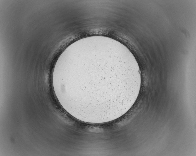 X0000112900258200910021440
