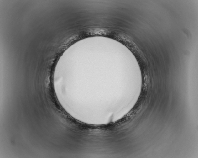 X0000112900259200910021440