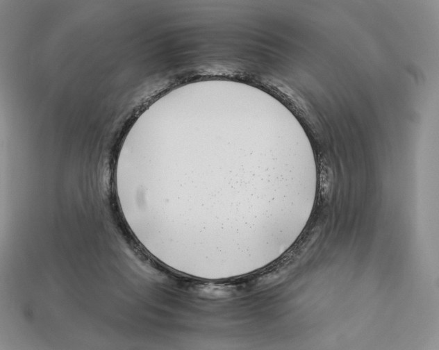 X0000112900261200910021440