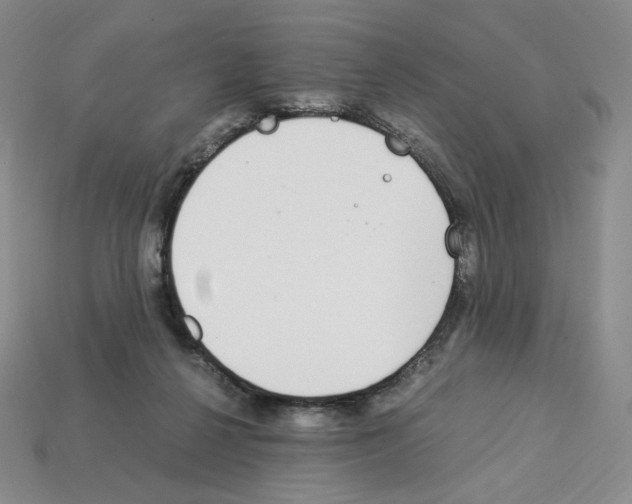 X0000112900264200910021440