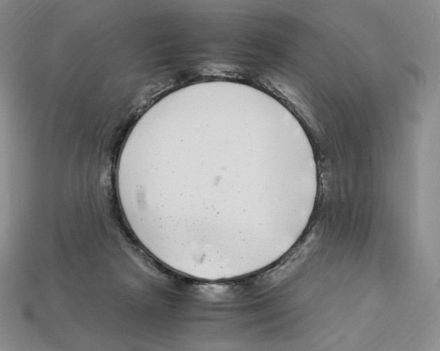 X0000112900265200910021440