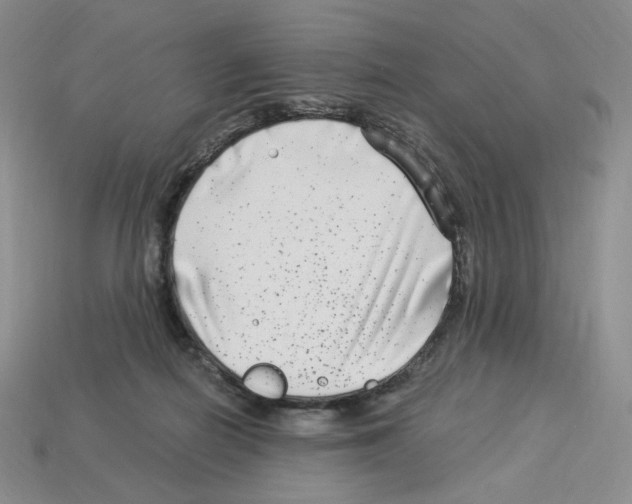 X0000112900266200910021440