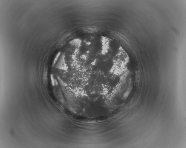 X0000112900267200910021440