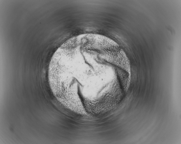 X0000112900269200910021440