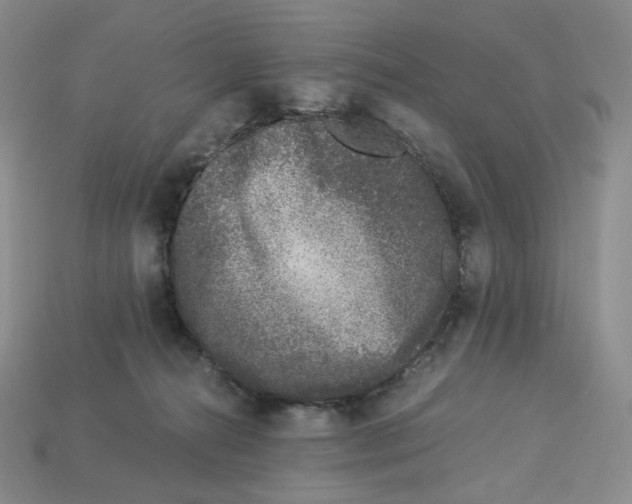 X0000112900272200910021440