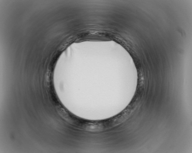 X0000112900275200910021441