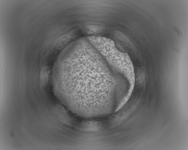 X0000112900276200910021441