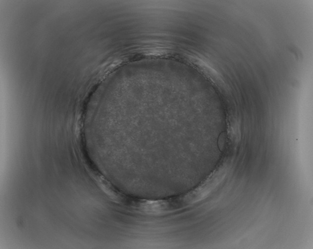X0000112900277200910021441