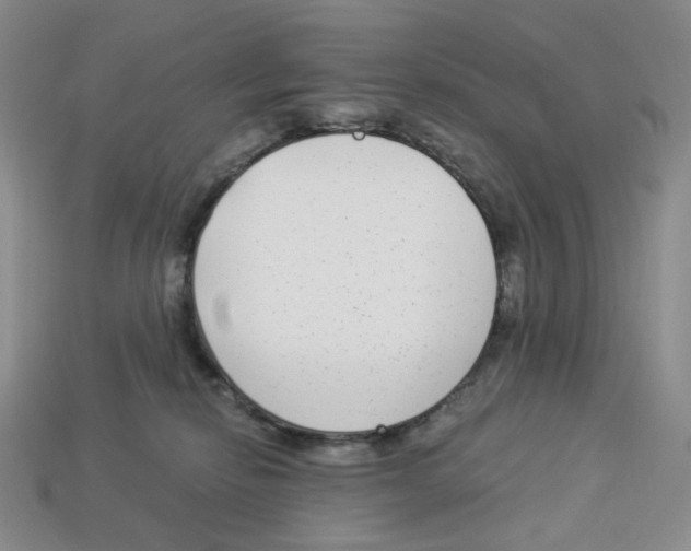 X0000112900278200910021441
