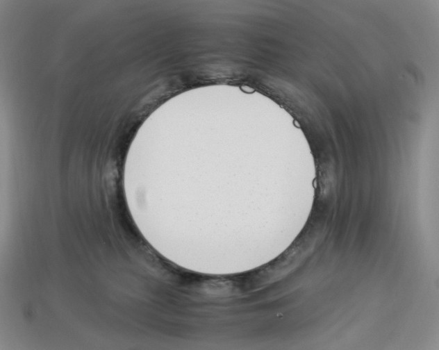 X0000112900279200910021441