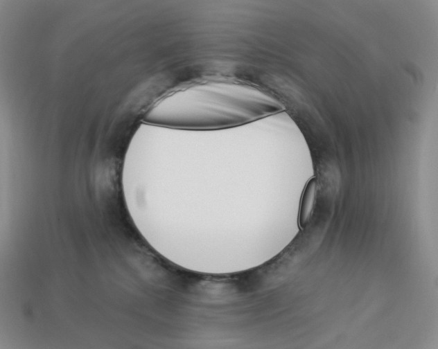 X0000112900280200910021441