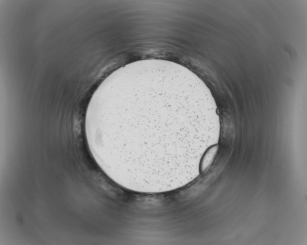 X0000112900282200910021441