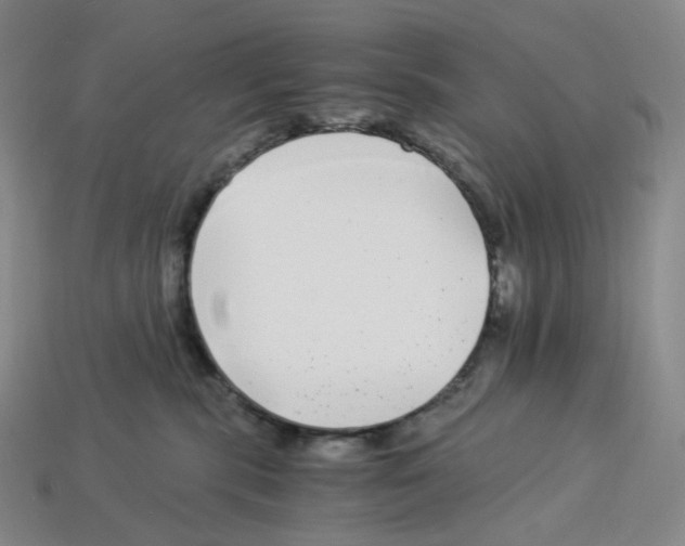 X0000112900283200910021441