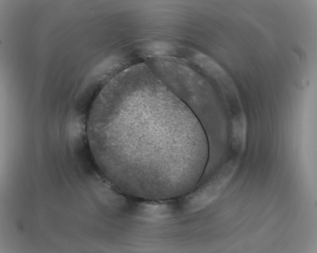 X0000112900284200910021441