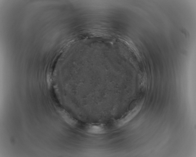 X0000112900285200910021441