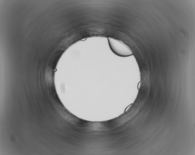 X0000112900287200910021441