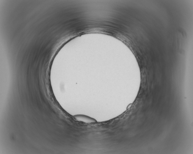 X0000112900289200910021440