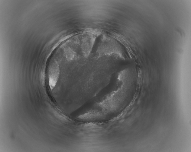 X0000112900290200910021440