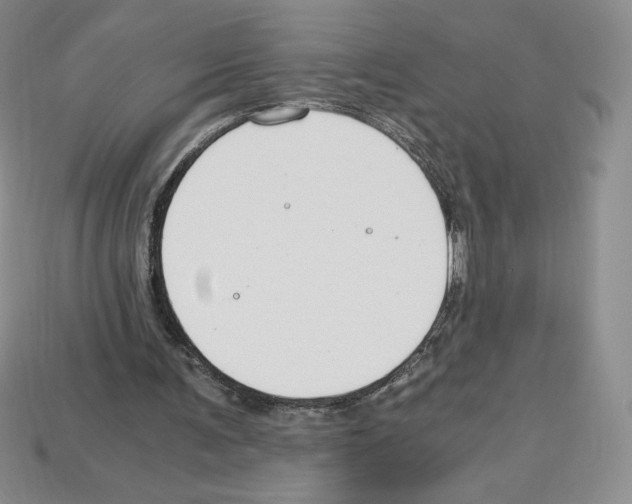 X0000112900291200910021440