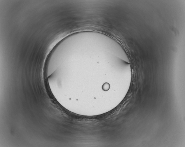 X0000112900292200910021440