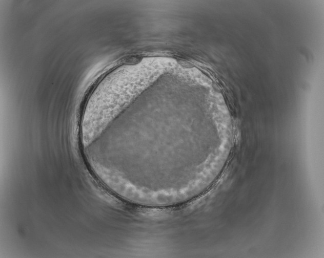 X0000112900293200910021440