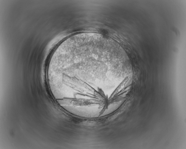 X0000112900294200910021440