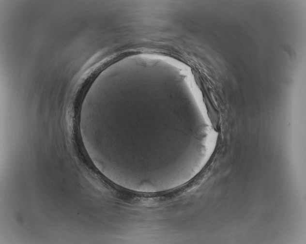 X0000112900295200910021440