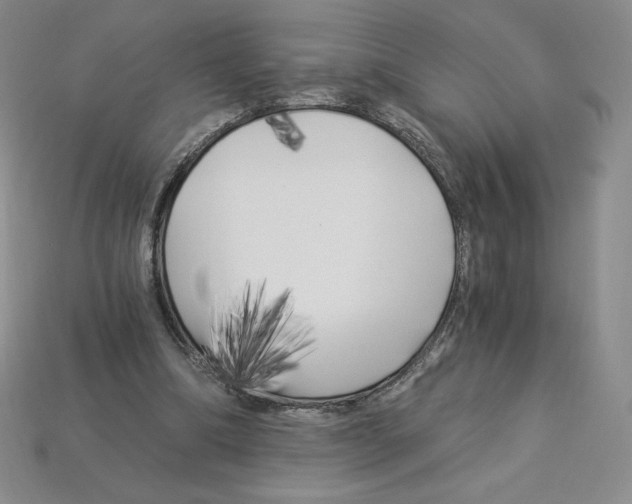 X0000112900298200910021440