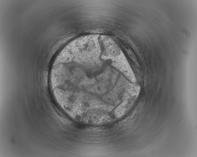 X0000112900299200910021440
