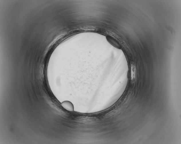 X0000112900300200910021440