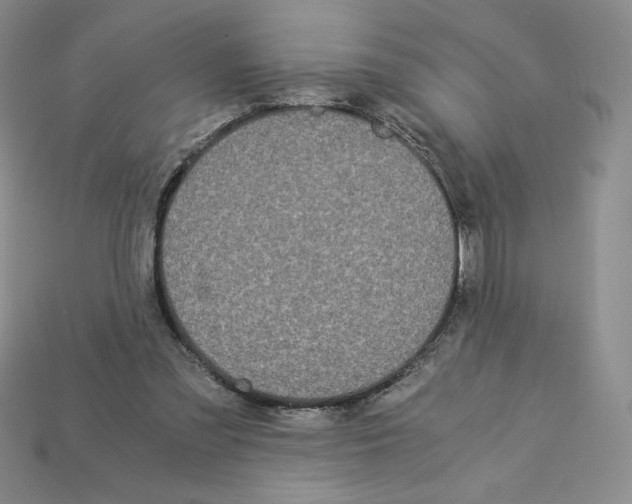 X0000112900301200910021440