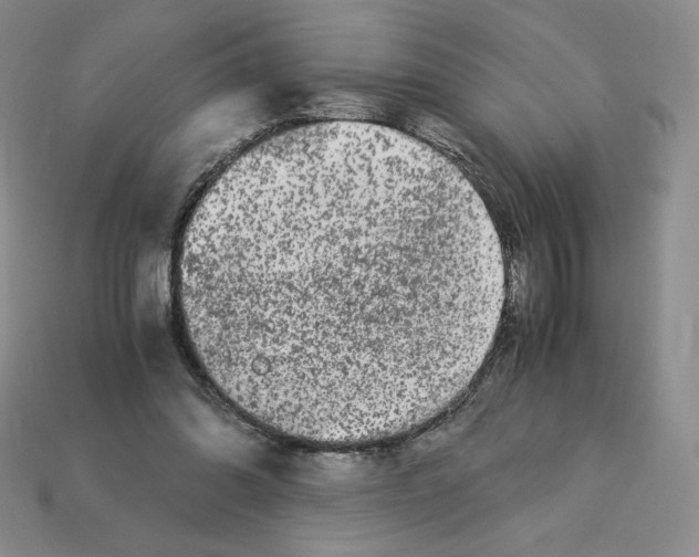 X0000112900302200910021440