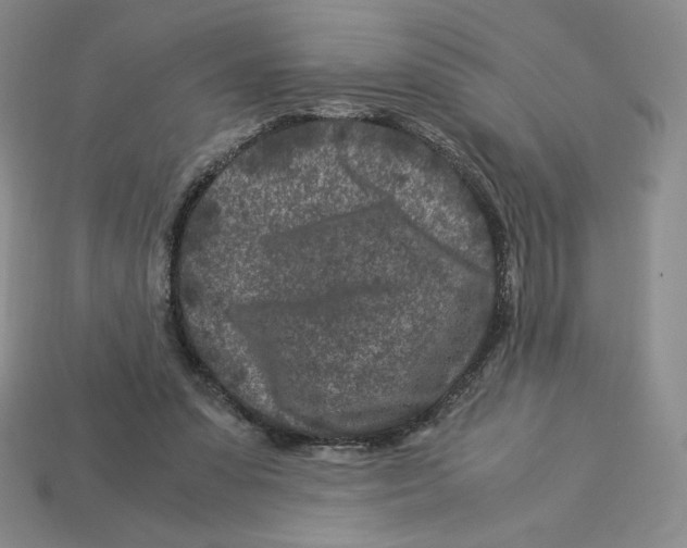 X0000112900303200910021440