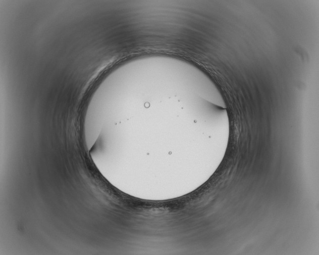 X0000112900304200910021440