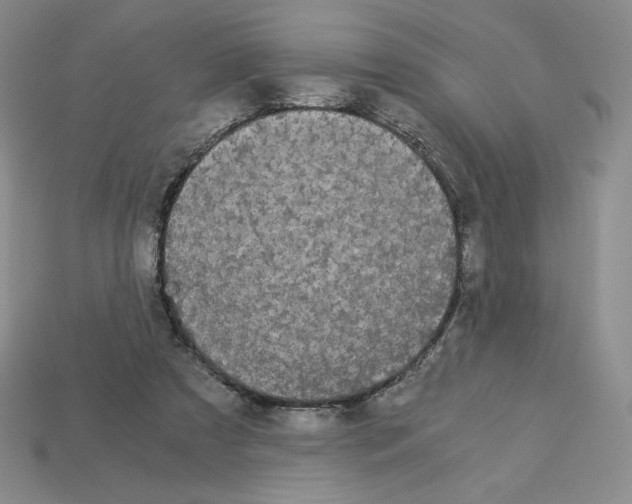 X0000112900305200910021440