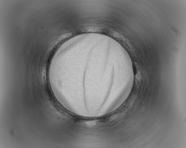 X0000112900306200910021440