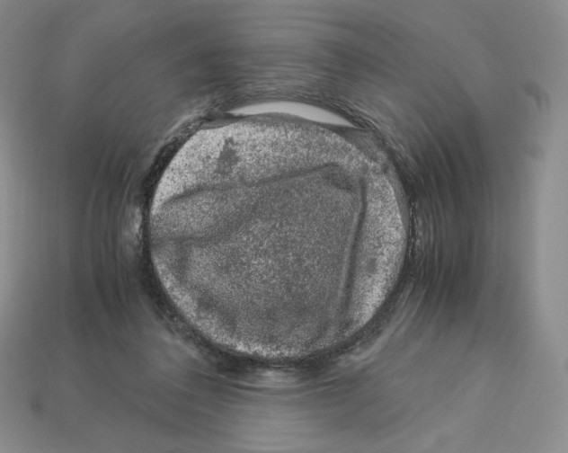 X0000112900308200910021440