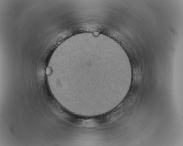 X0000112900309200910021440