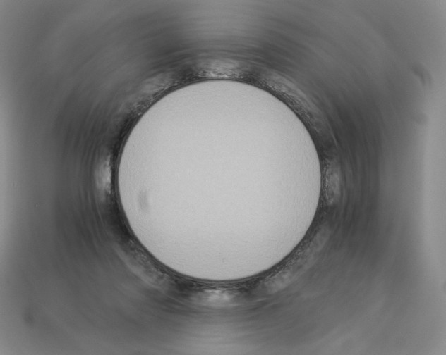 X0000112900310200910021440