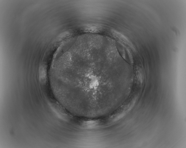 X0000112900312200910021440