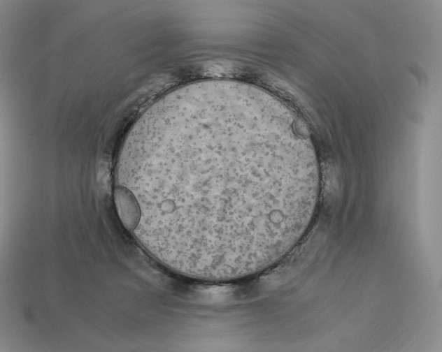 X0000112900313200910021440