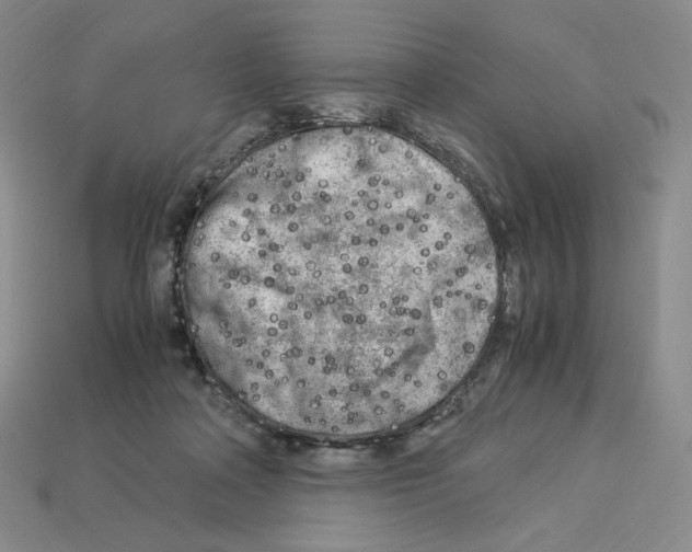 X0000112900314200910021440