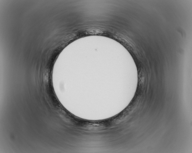 X0000112900315200910021440