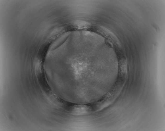 X0000112900316200910021440