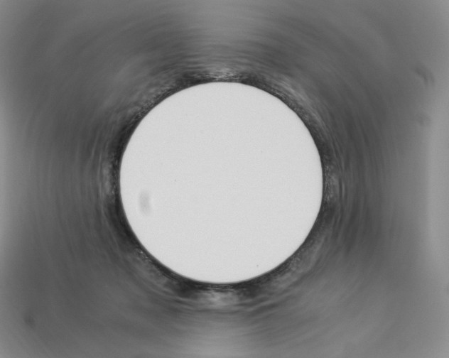 X0000112900317200910021440