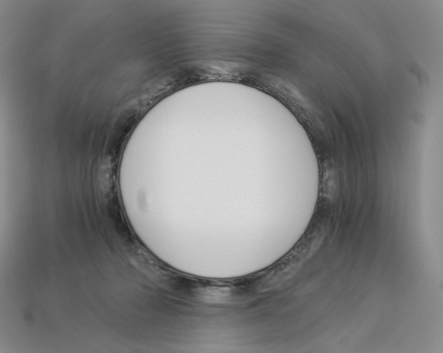X0000112900318200910021440
