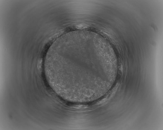 X0000112900319200910021440